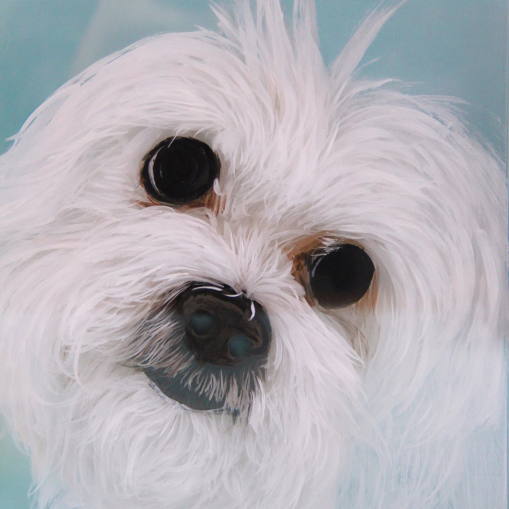 Custom 3D Glass Painting MeoWarrior Suitable for all animals/pet +human portrait-Free Shipping Worldwide @3dartistlinda