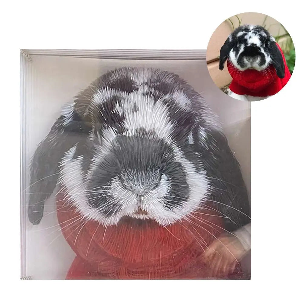 Custom 3D Glass Painting MeoWarrior Suitable for all animals/pet +human portrait-Free Shipping Worldwide @3dartistlinda