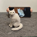 Custom Needle Felt Pet Portrait Painting Stuffed animal Felted Replica Pet For Memorial @anita.fiberartist