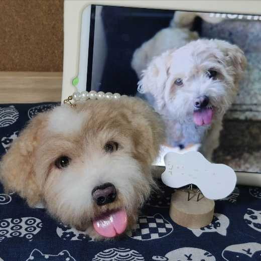 Custom pet portrait felted dog/cat/horse/bunny Keychain, for memorial @anita.fiberartist