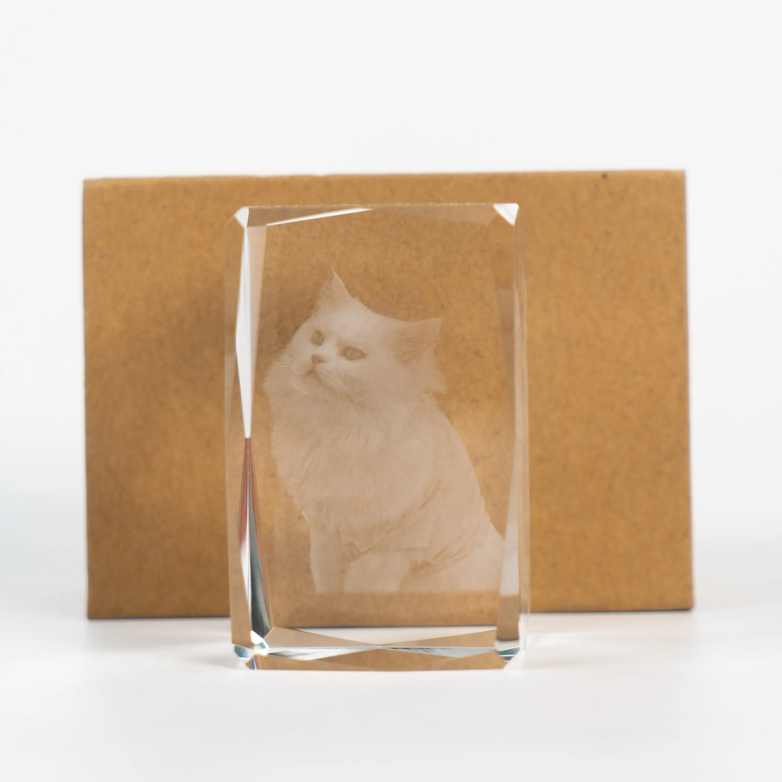 FairWonder Small 3D Crystal Rectangle FairWonder