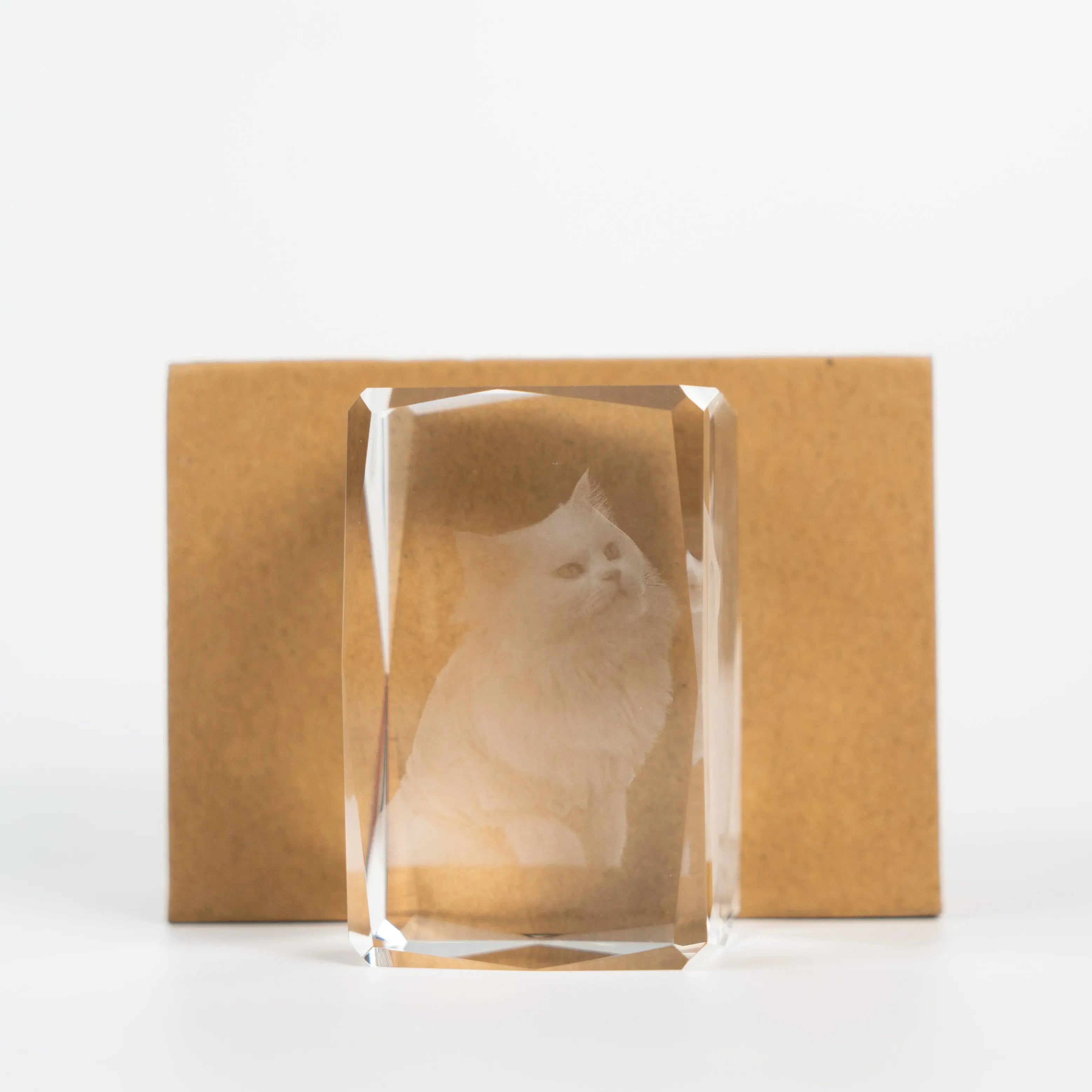 FairWonder Small 3D Crystal Rectangle FairWonder