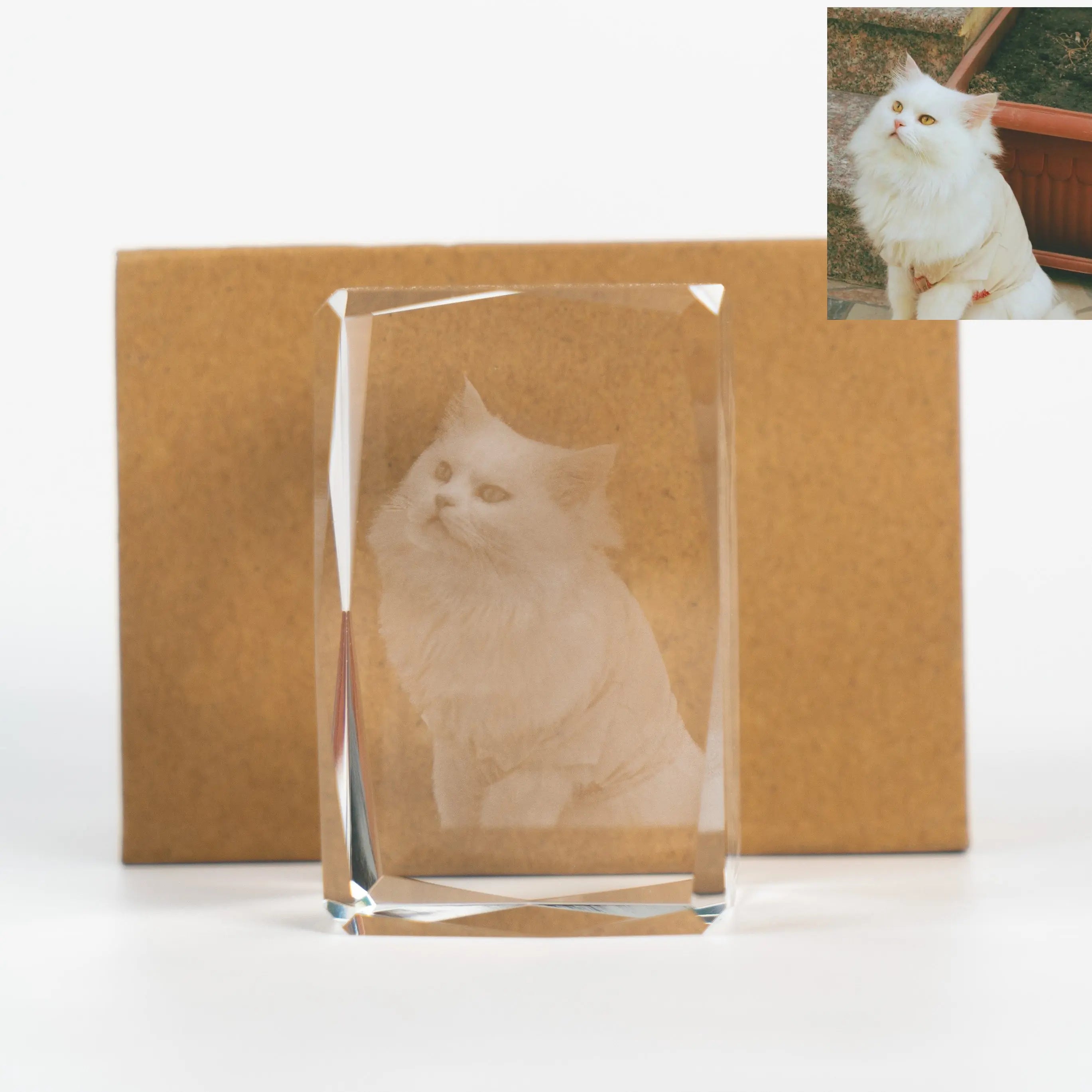 FairWonder Small 3D Crystal Rectangle FairWonder