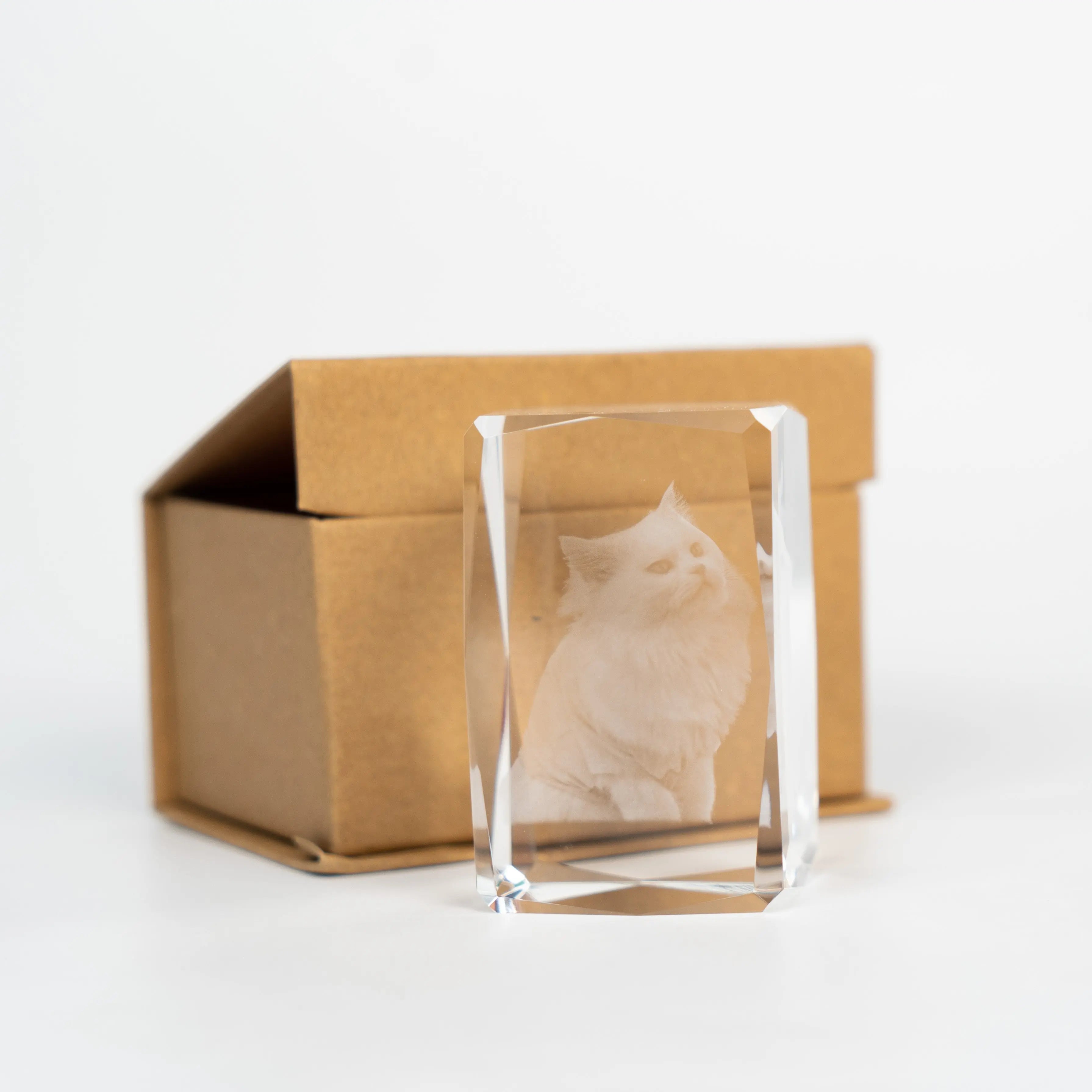 FairWonder Small 3D Crystal Rectangle FairWonder