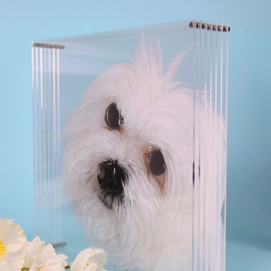 FairWonder Custom 3D Glass Painting Pet Painting Cat/Dog Portrait Art Suitable For All Animals/Pet +Human Portrait Christmas Gift @3dartistlinda