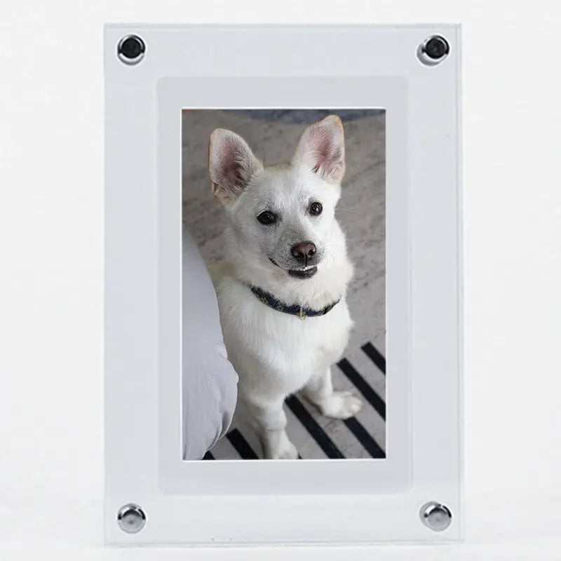 FairWonder Digital video/photo/live motion Frame FairWonder