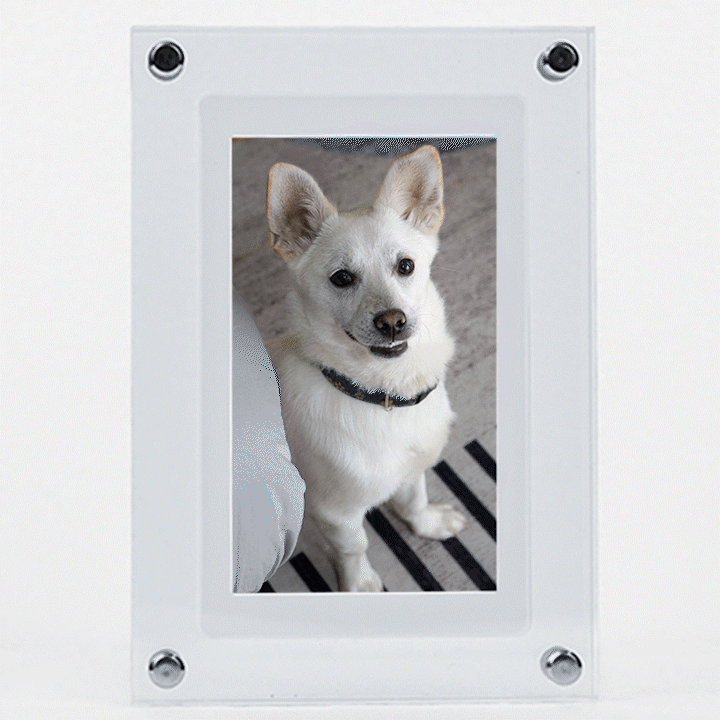 FairWonder Digital video/photo/live motion Frame FairWonder